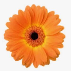 FASHION PULLS GALORE! 🎉